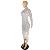 Women's High Stretch Sequin Dress Tassel Dress