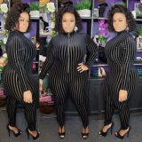Plus Size Women'S Mesh Flocked Stripe Tight Fitting Zip Long Sleeve Jumpsuit
