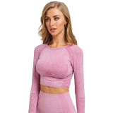 Jacquard Seamless Long-Sleeved Gradient Fitness Long-Sleeved Yoga Top Clothes