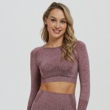 Jacquard Seamless Long-Sleeved Gradient Fitness Long-Sleeved Yoga Top Clothes