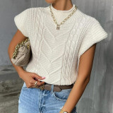 Spring Fashion Sweater Outdoor Wear Twist Turtleneck Vest