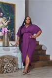 Plus Size Fitted Sheer Dress