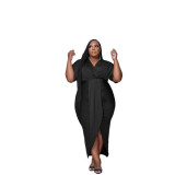 Plus Size Fitted Sheer Dress