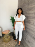Summer Solid Deep V Neck Crop Top Slim Straight Pants Casual Two-Piece Set