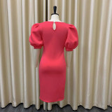 Women's Summer Puff Sleeve bodycon Sexy Banquet Dress Skirt Dress