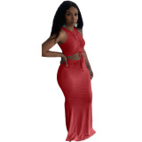 Women Sleeveless Crop Top And Pleated Maxi Two-Piece Dress
