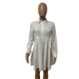 Women's Fashion Turndown Collar Single Breasted Long Sleeve A-line Shirt Dress
