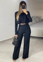 Women Spring Round Neck Long Sleeve Crop Shirt And Pleated High Waist Pants Two-Piece Set