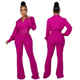Stylish Turndown Collar Long Sleeve Top with Slim Fit Bell Bottom Pants Stylish Solid Casual Two-Piece Set