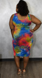 Women'S Classic Tie Dye Positioning Print Sleeveless Plus Size Bodycon Dress