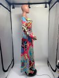 Spring Summer Aunt Women's Sexy Printed Straps Long Sleeve Slit Maxi Dress