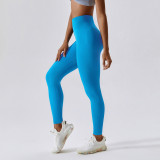 Seamless Yoga Pants Female Tummy Control Butt Lift Sports Tight Fitting Pants Outdoor Cycling Running Fitness Leggings