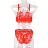Sexy 2-Piece Set Autumn Lace Patchwork With Bow Sexy Underwear Set Bikini Lingerie Set