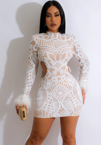 Trendy Sexy See-Through Sequin Tight Fitting Bodycon Dress
