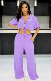 Women Short Polo Collar Crop Top and Pants Two-Piece Set