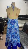 Women Printed V-Neck Strap Dress