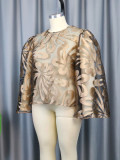 See-Through Shiny Round Neck long-sleeved top Fashion all-match shoulder loose women's jacket
