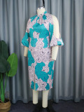 Women Printed Stand Collar Cutout Sleeve Dress