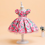 Girls' Dress Princess Dress Puff Skirt Puff Sleeve Printed Flower Girl Catwalk Costume Children's Dress