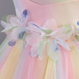 Infant and Toddler Dresses Floral Dress Multi-Color Mesh Pouf Princess Dress