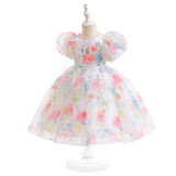 Girls Dress Puff Sleeve Princess Dress Children Floral Mesh Tutu Dress