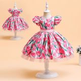 Mädchenkleid Prinzessin Kleid Puffrock Puffärmel Bedrucktes Blumenmädchen Laufsteg Kostüm Kinderkleid