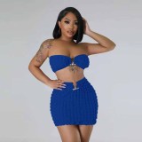 Women's Fashion Sexy Casual Strapless Two-Piece Skirt Set Women's Clothing