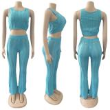 Summer Women Sexy Round Neck Sleeveless Ripped Crop Top and Pant Two-Piece Set