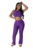 Summer Women Sexy Round Neck Sleeveless Ripped Crop Top and Pant Two-Piece Set