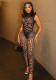 Mesh star print sexy hollow Low Back pullover jumpsuit pencil Tight Pants two-piece set