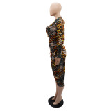 Irregular Ruched Long-Sleeved Deep V Neck Leopard Print Spring And Autumn Women's Dress