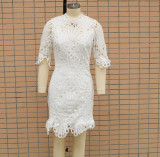 Spring And Summer Women's Clothing Women's Lace Fashion Dress