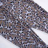 Pantalones informales ajustados transparentes con estampado de leopardo y malla para primavera y verano para mujer