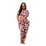 Conjunto de dos piezas de top de manga corta y pantalones sueltos con estampado de leopardo elegante de verano para mujer de talla grande