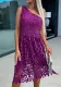 Women Lace Slash ShoulderHolidays Dress