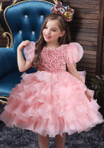 Girls Dress Princess Dress Puff Sleeve Sequins Puff Mesh Skirt Children's Day Dance Costume