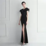Mesh Beaded + Embellished Feather Star Red Carpet Long Evening Gown