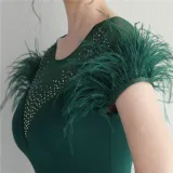 Mesh Beaded + Embellished Feather Star Red Carpet Long Evening Gown