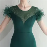 Mesh Beaded + Embellished Feather Star Red Carpet Long Evening Gown