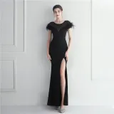 Mesh Beaded + Embellished Feather Star Red Carpet Long Evening Gown