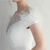 Mesh Beaded + Embellished Feather Star Red Carpet Long Evening Gown
