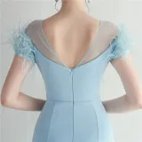 Mesh Beaded + Embellished Feather Star Red Carpet Long Evening Gown