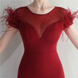 Mesh Beaded + Embellished Feather Star Red Carpet Long Evening Gown