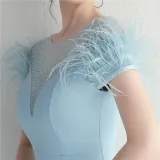 Mesh Beaded + Embellished Feather Star Red Carpet Long Evening Gown