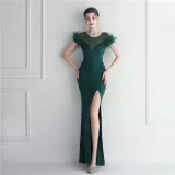 Mesh Beaded + Embellished Feather Star Red Carpet Long Evening Gown