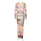 Women's Summer Fashion Printed Slim Fit Round Neck Long Sleeve Chic Maxi Dress