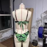 Print Bikini Fringed Mesh Cover Ups Three-Piece Swimsuit