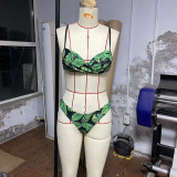 Print Bikini Fringed Mesh Cover Ups Three-Piece Swimsuit