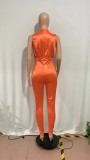 Women's Jumpsuit Sexy Deep V High Waist Solid Color Chic Pleated Slim Bodysuit