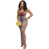 Women's Spring Summer Sleeveless Colorful Positioning Print Slit Dress